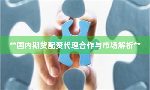 **国内期货配资代理合作与市场解析**